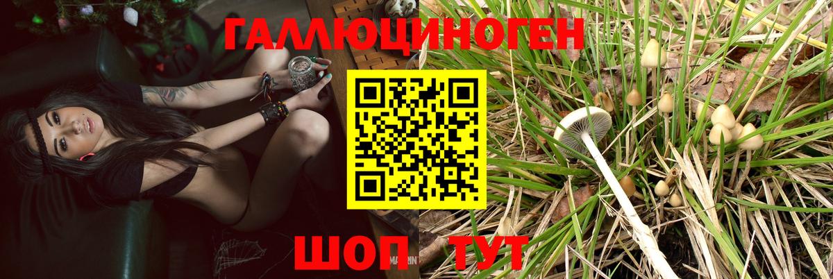 Стрежевой  Псилоцибиновые грибы прущие грибы  Псилоцибиновые грибы MAGIC MUSHROOMS  Вход с VPN 